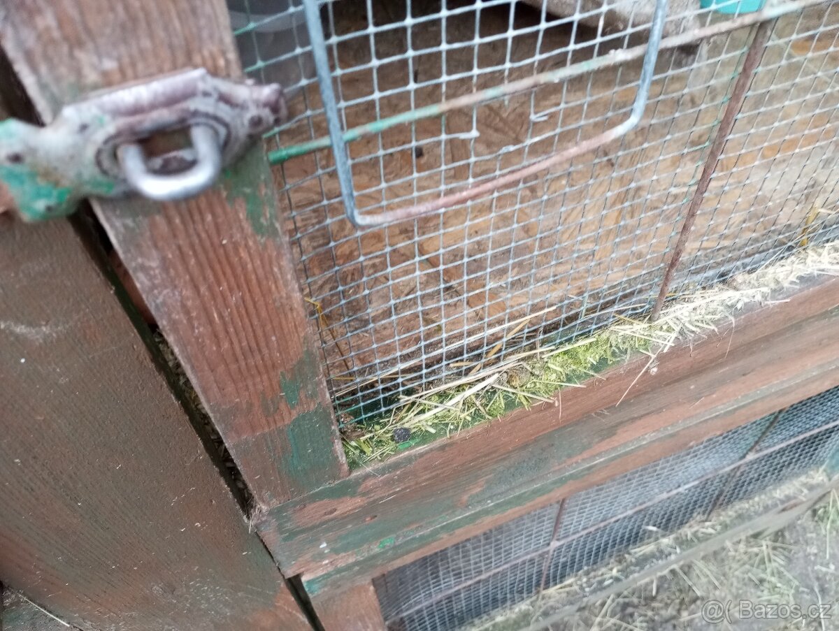 Králíkárna - 5