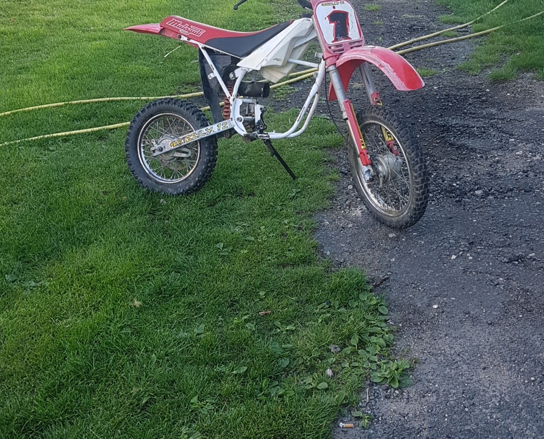 Cross malagutti