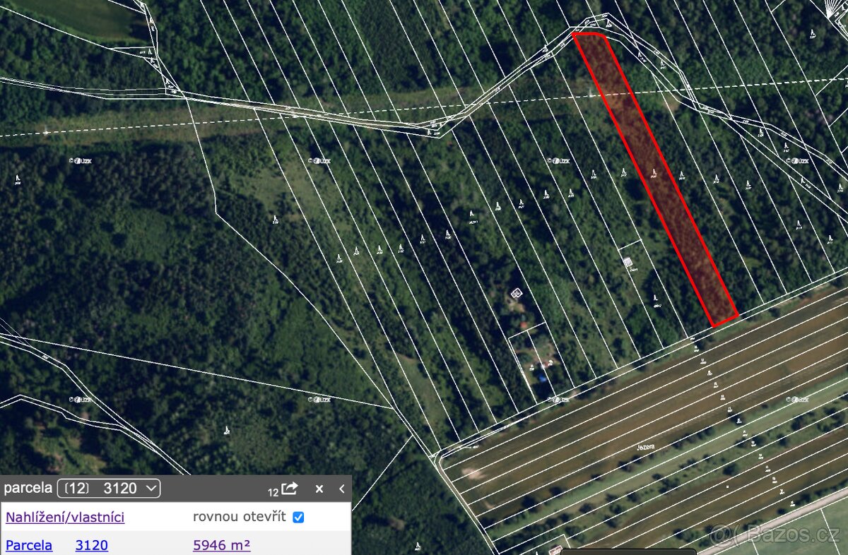 Prodej lesa v k.ú. Malhostovice - Tišnov - 5