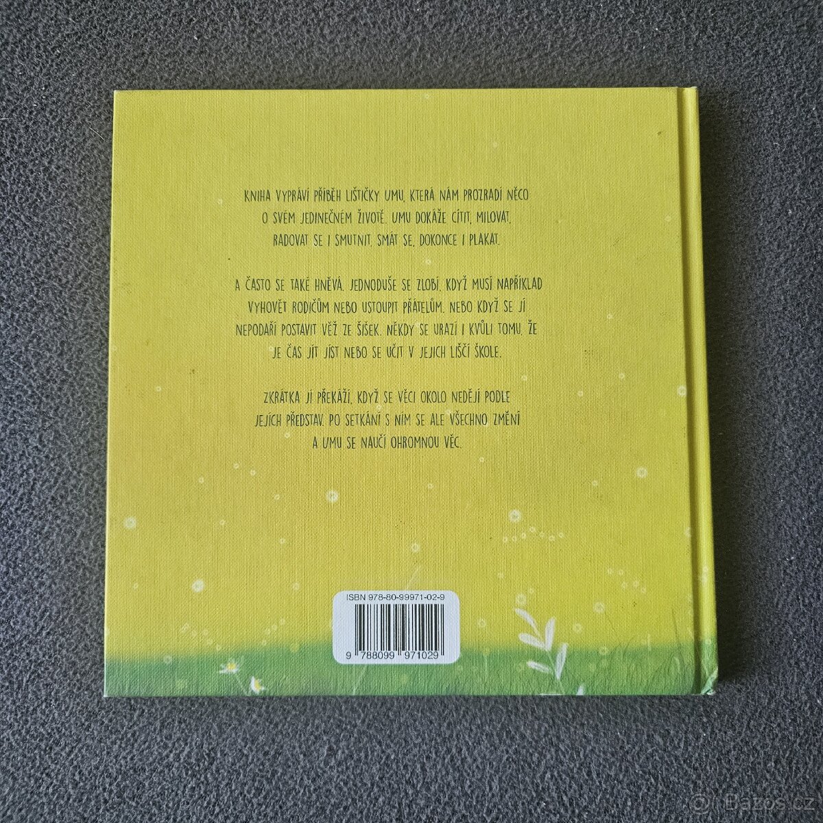 Já a pan hněv - Iryna Zelyk - 5