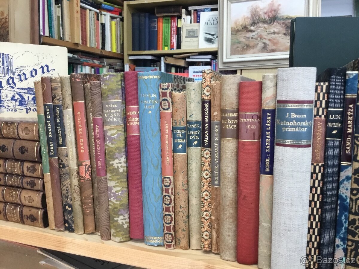 Vice nez 4000 knih - 5