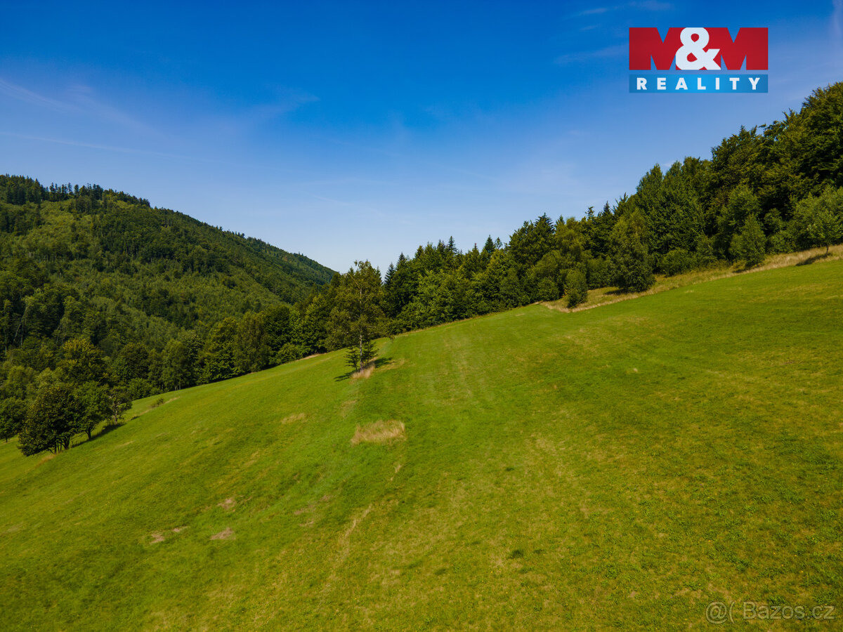 Prodej pole, 17552 m², Nýdek - 5