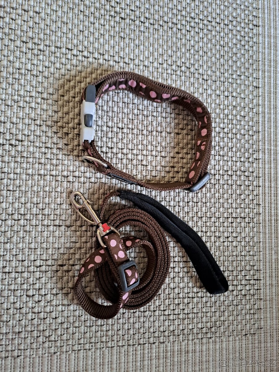2x Obojek a vodítko Red Dingo - 5