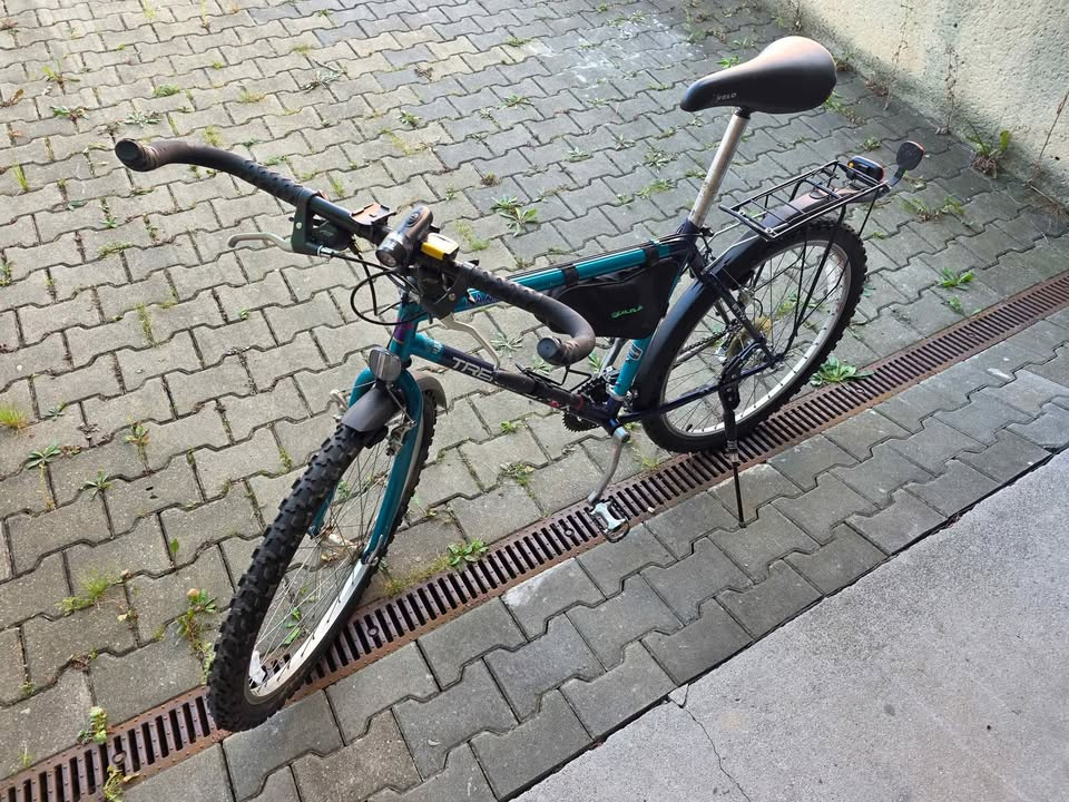 Pánské kolo Trekking Fox Canyon - modro zelené - 5