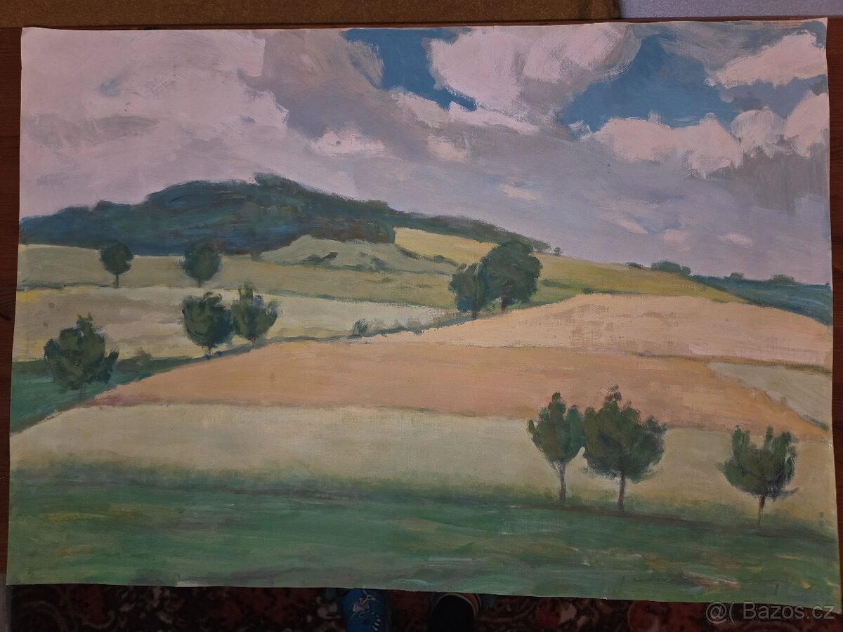 Prodám obraz krajiny - 5