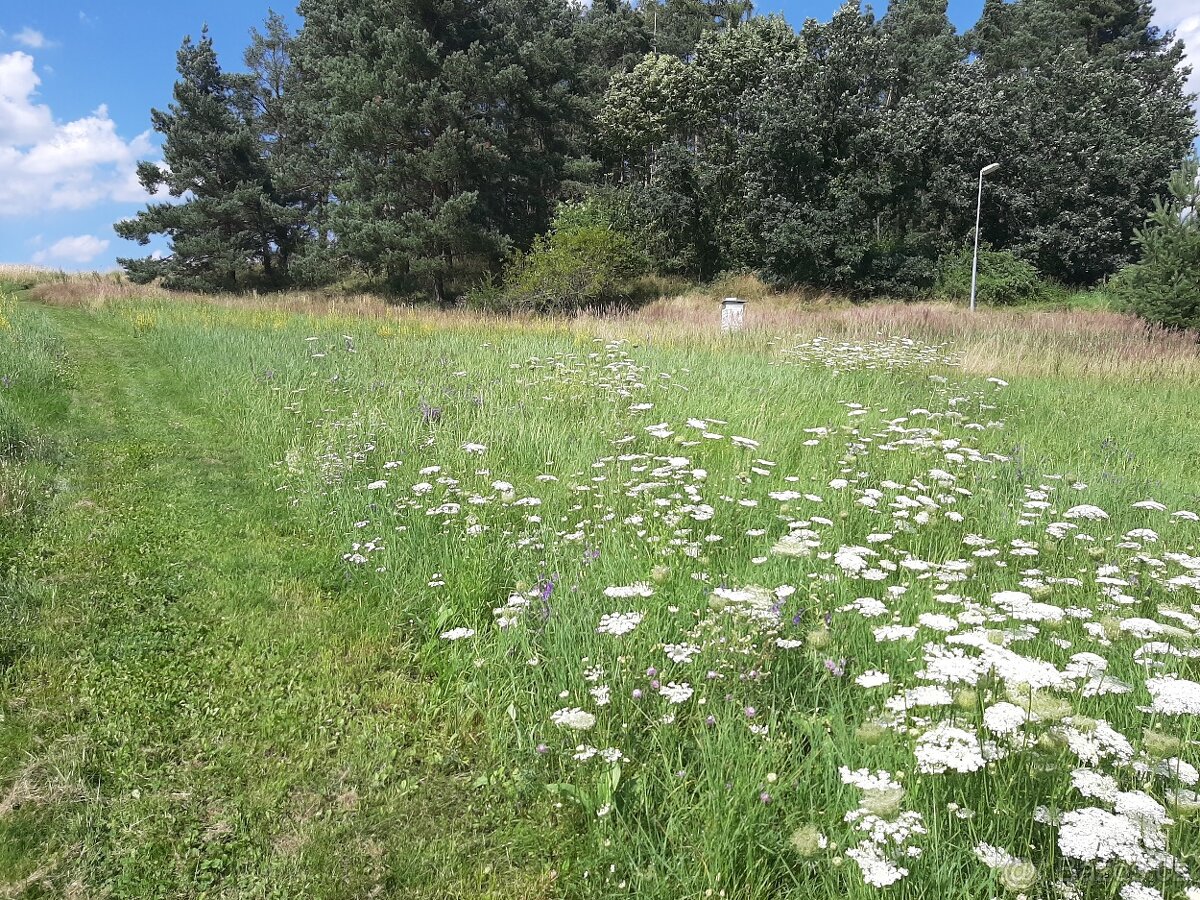 Stavební pozemek 1365m2 u přehrady Orlík - 5