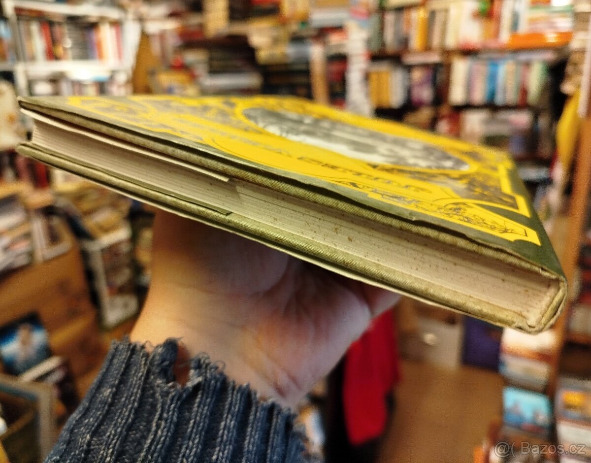 Jules Verne - PODIVUHODNÉ SETKÁNÍ V DŽUNGLI (nejlevněji) - 5