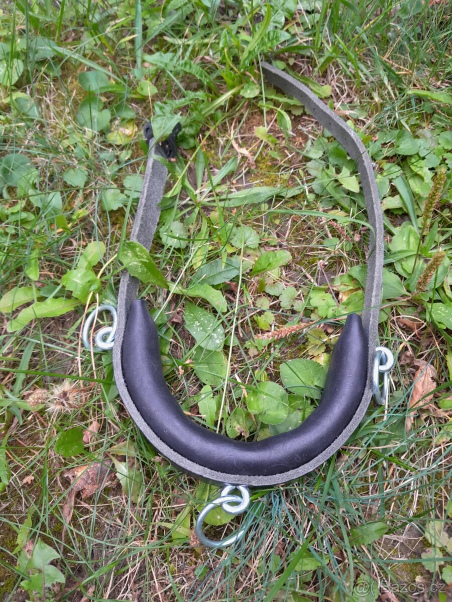 Korekční beránek a další cajky - 5