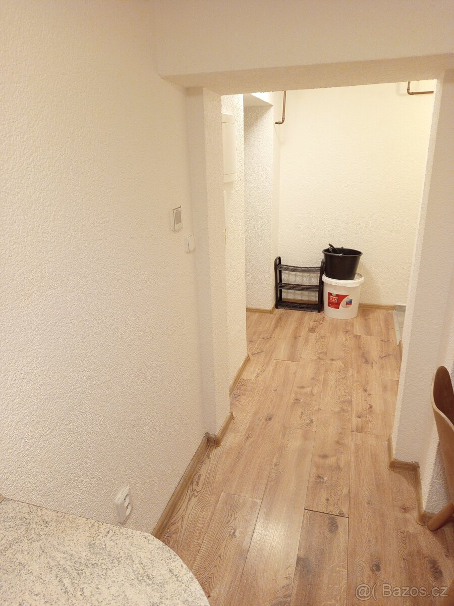 Byt 1+1 (cca. 45 m2)+ zahrada, Pkzeň, Slovany - 5