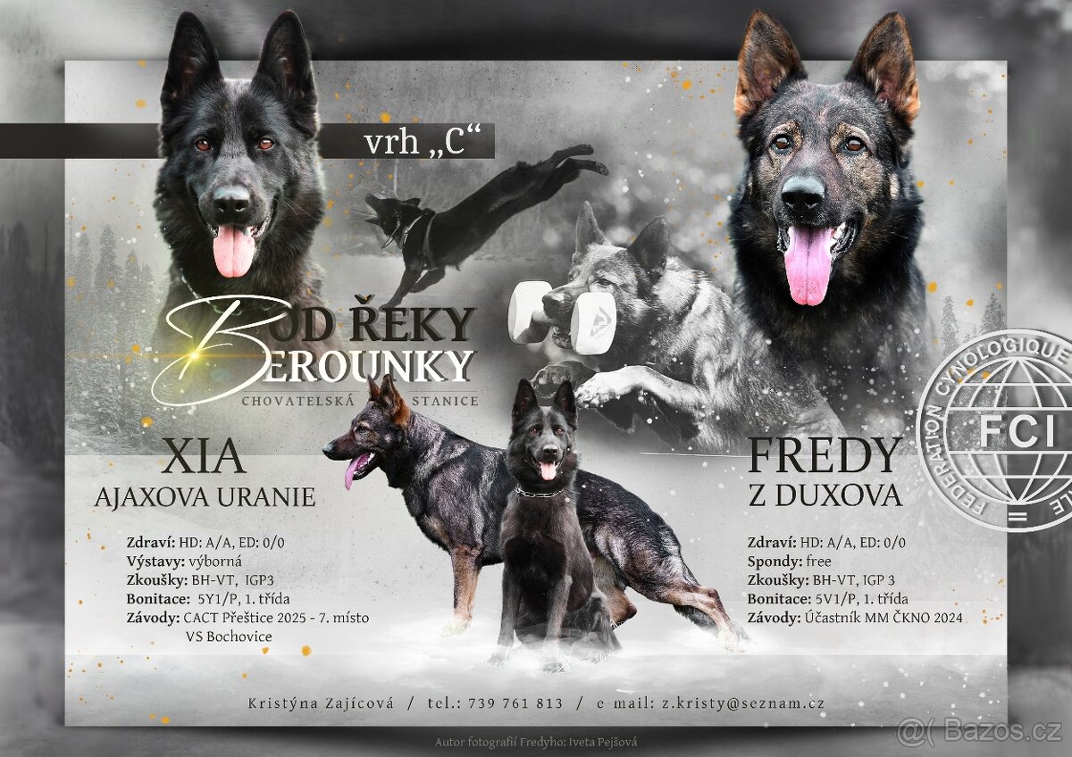 Německý ovčák - 5