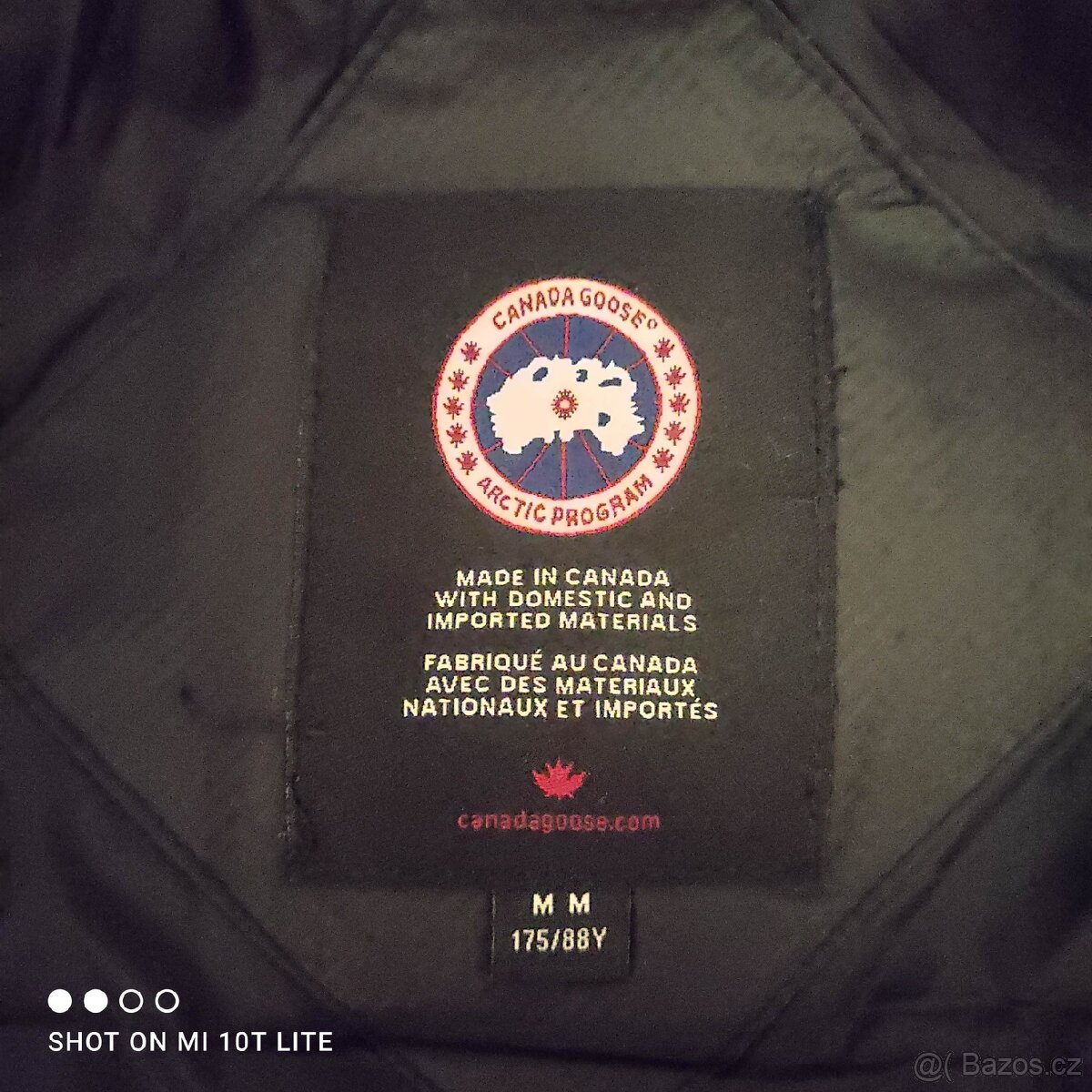 Canada goose - 5
