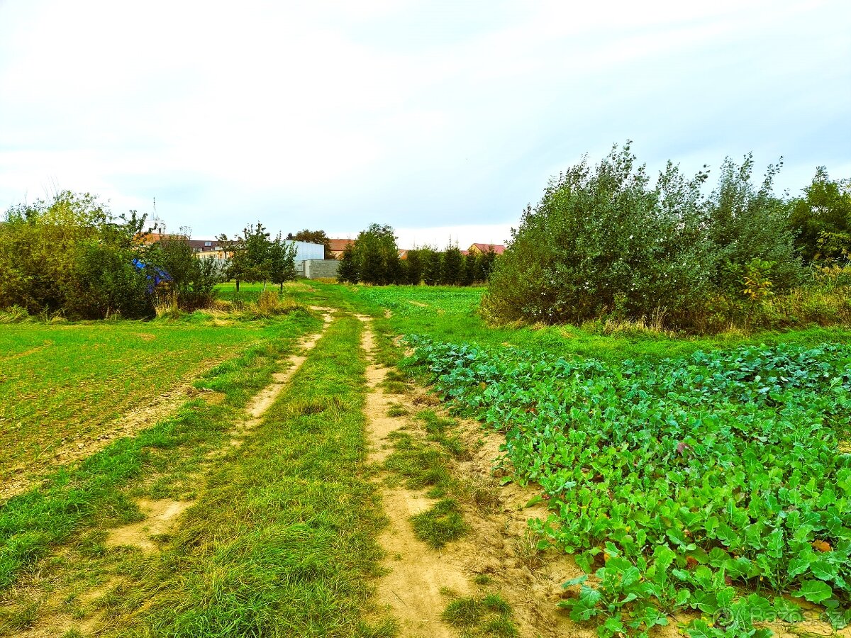 Pozemek v krásné přírodě pro mobilní objekt, zahrádku - 5