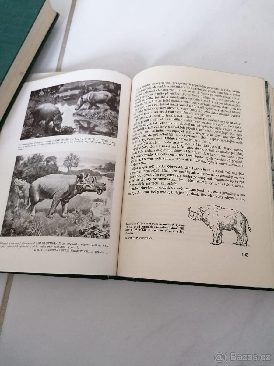 Augusta Josef - Divy prasvěta - 5