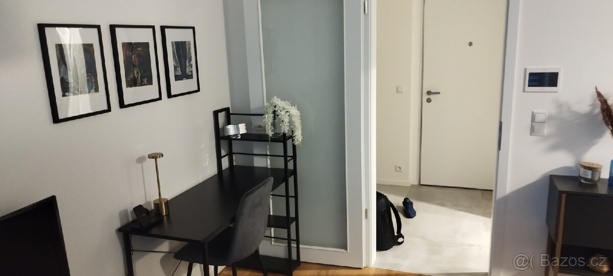 Pronajmu nový, zařízený byt 1kk 42m s terasou - Hagibor - 5