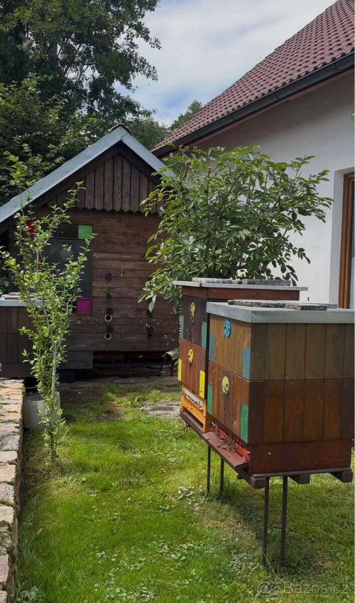 včelí med od včelaře - 5
