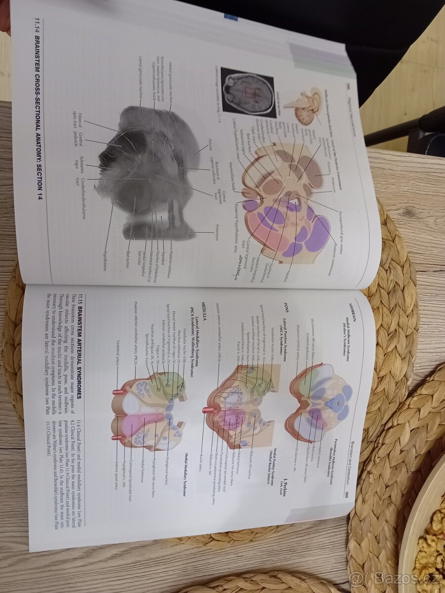 Netter's atlas of neuroscience 4th edition - Felten, neuroa - 5