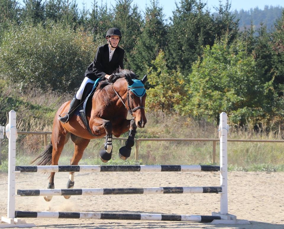 Ustájení koní na Šumavě - 5