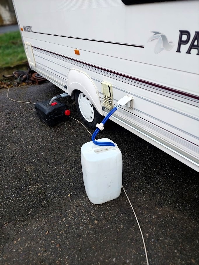 BAYLEY PAGEANT MAJESTIC | rok v. 2001 | hmotnost 1 050 kg - 5