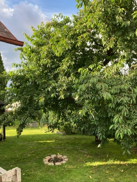 Prodej zahrady v Bílině - 5