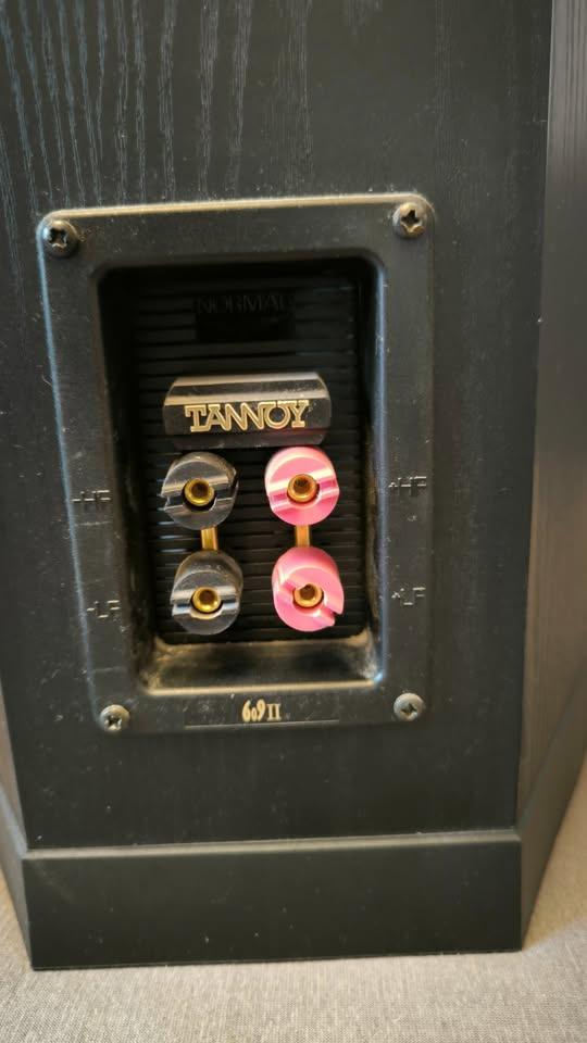 Tannoy 609 II ( 200 W ) - 5