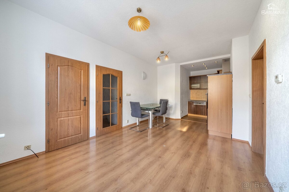 Pronájem bytu 2+kk 46 m², Plzeň - Jižní Předměstí - 5