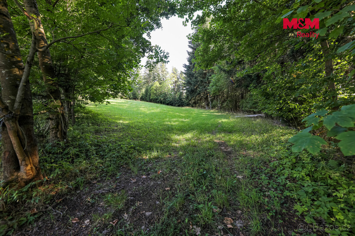 Prodej lesa, 15707 m², Petrovice u Sušice - 5