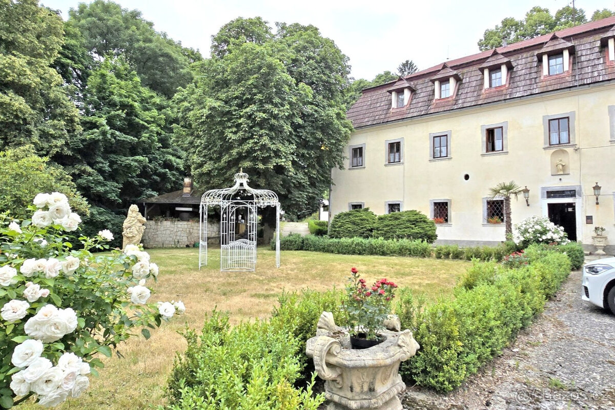 ZÁMEK VIDŽÍN PRONÁJEM - 5