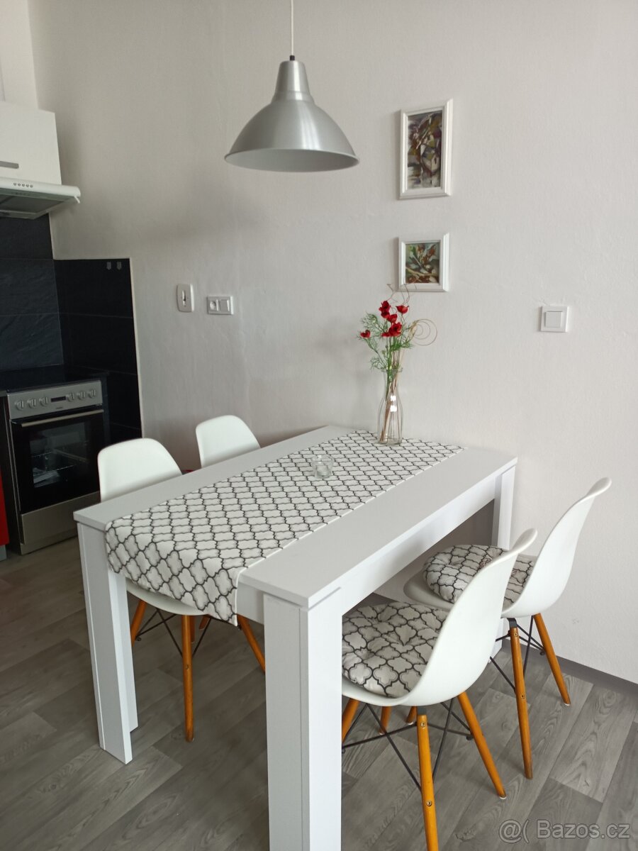 Pronájem velkého bytu 1+kk - 5