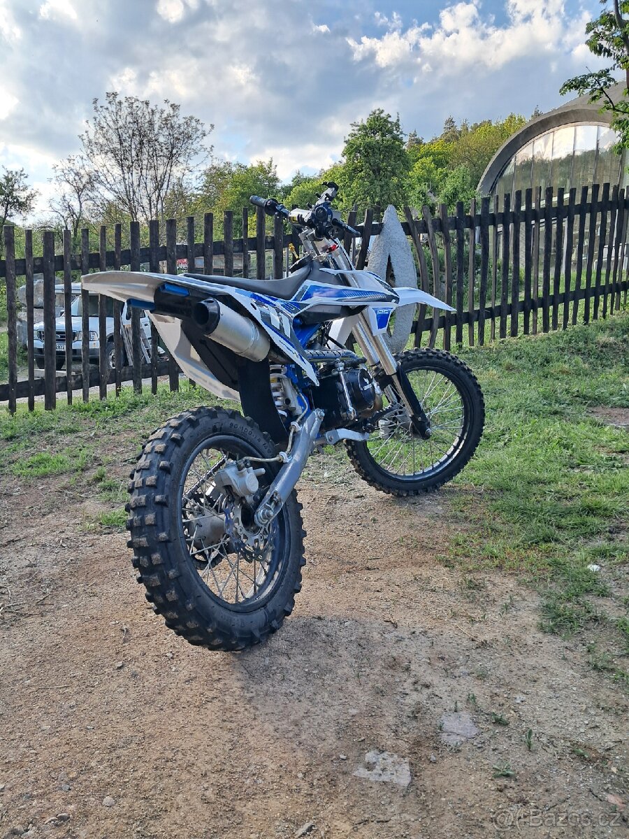 Pitbike Shark 125