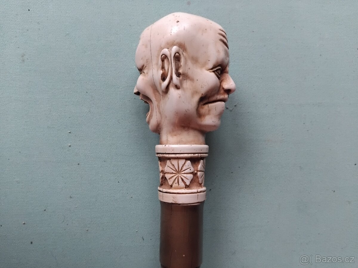 Vycházková hůl s bodlem - 5