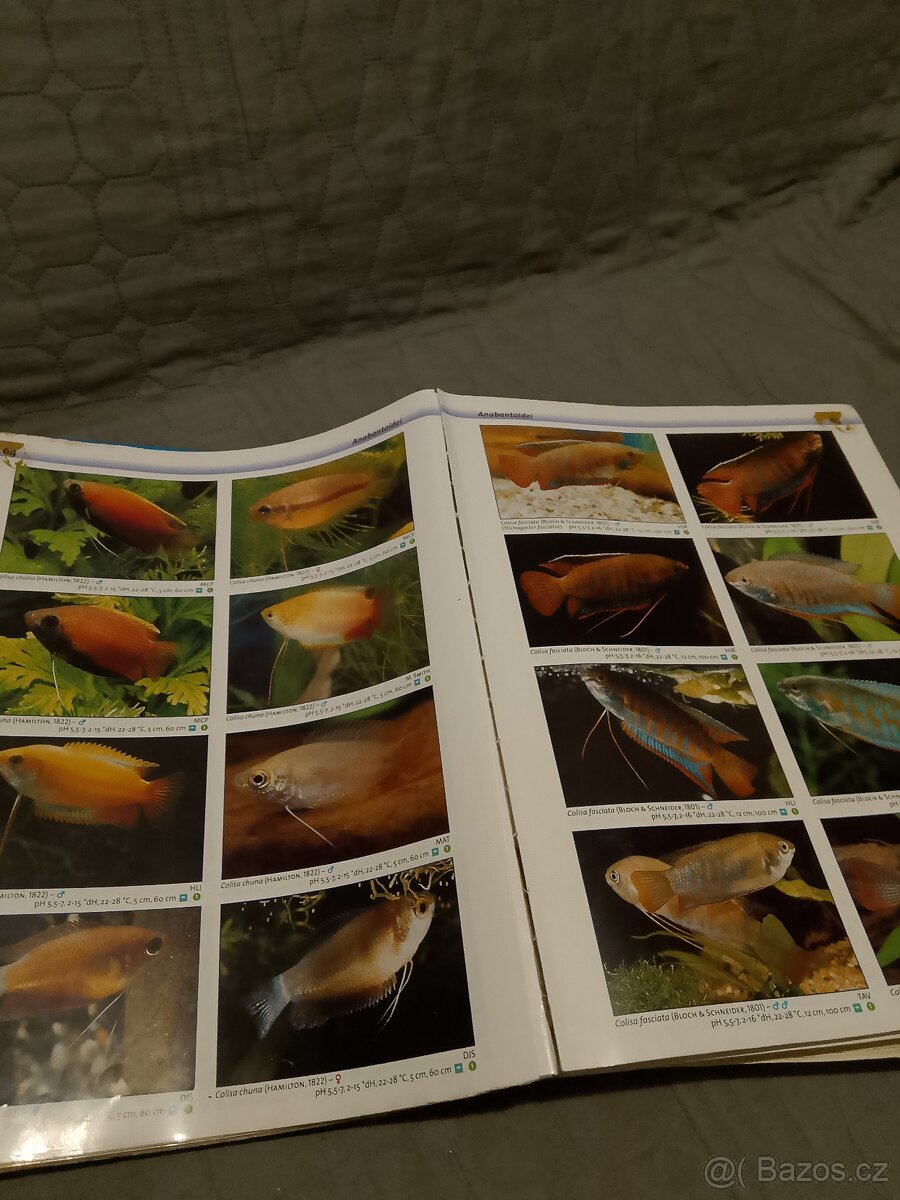 Vede atlas akvaristika - 5