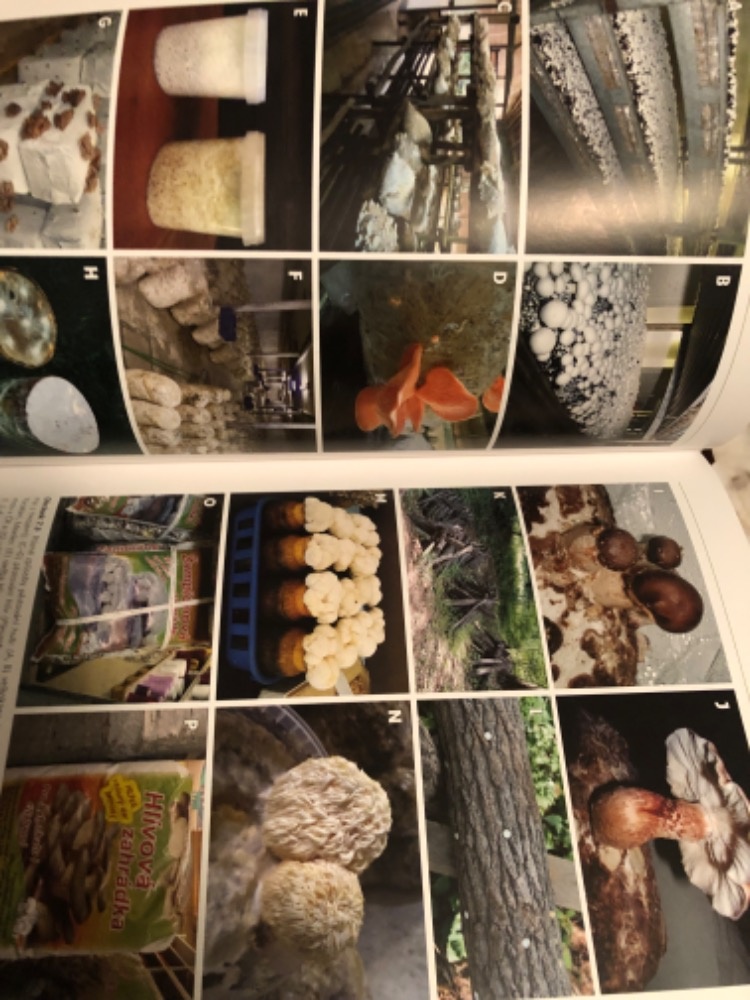 Houby -Biotechnologie - 5