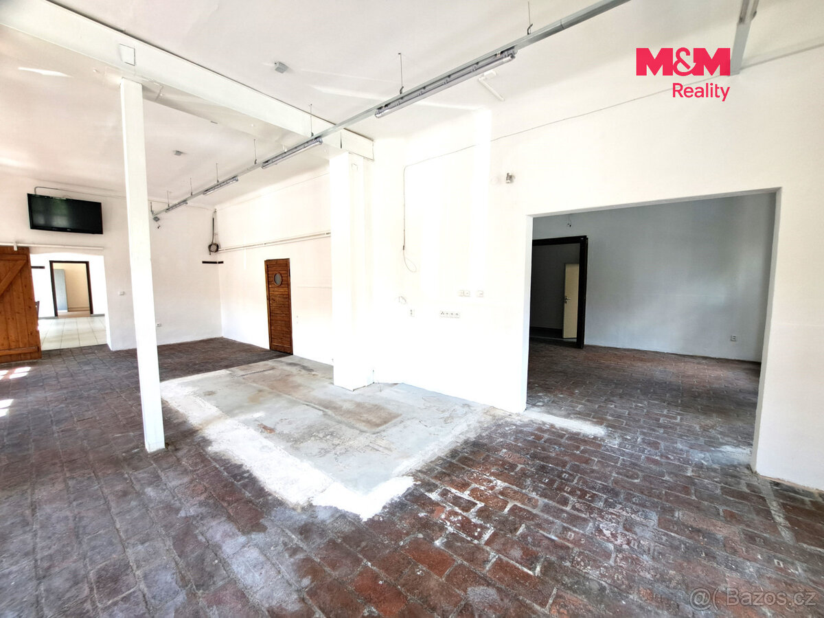 Pronájem obchodního prostoru, 221m2, ul. Riegrova, Brno - 5