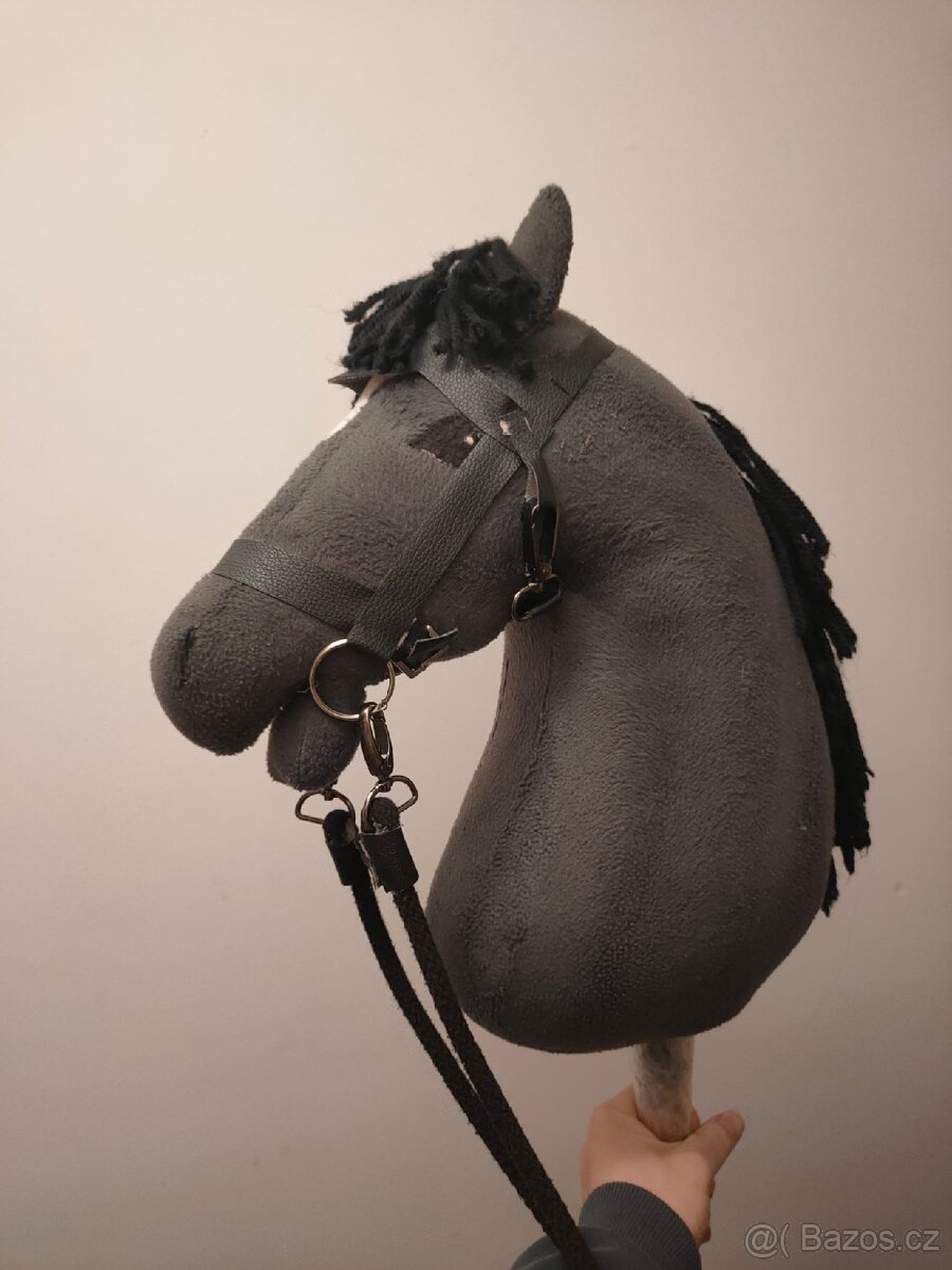 Hobby Horse - 5