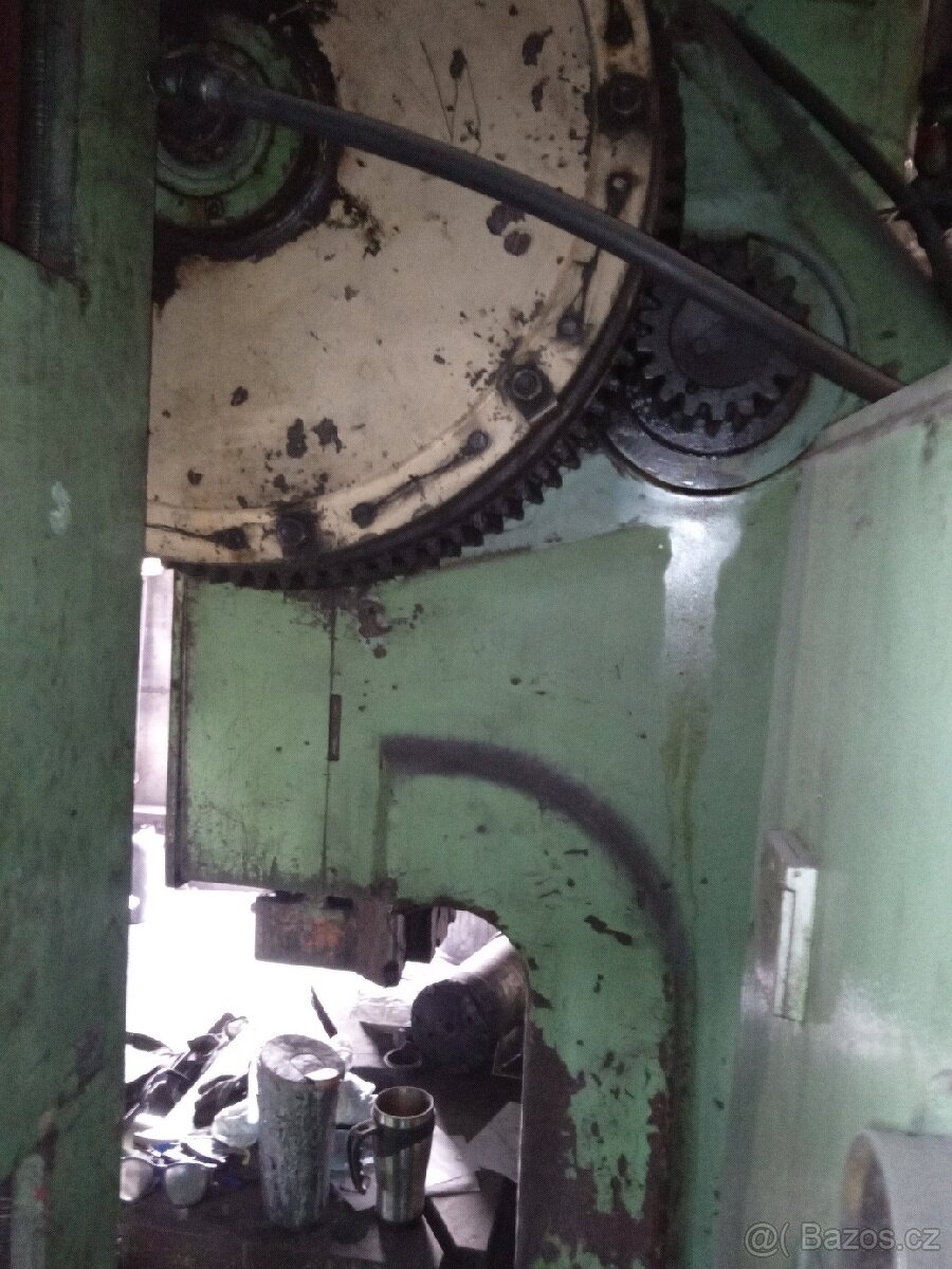 Lis výstředníkový Rus 100 - 5