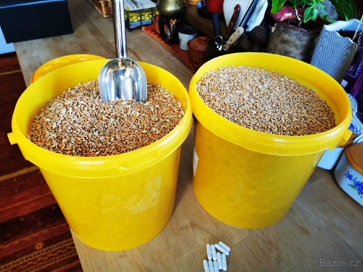 Souprava na pěstování hub v bytě - 5