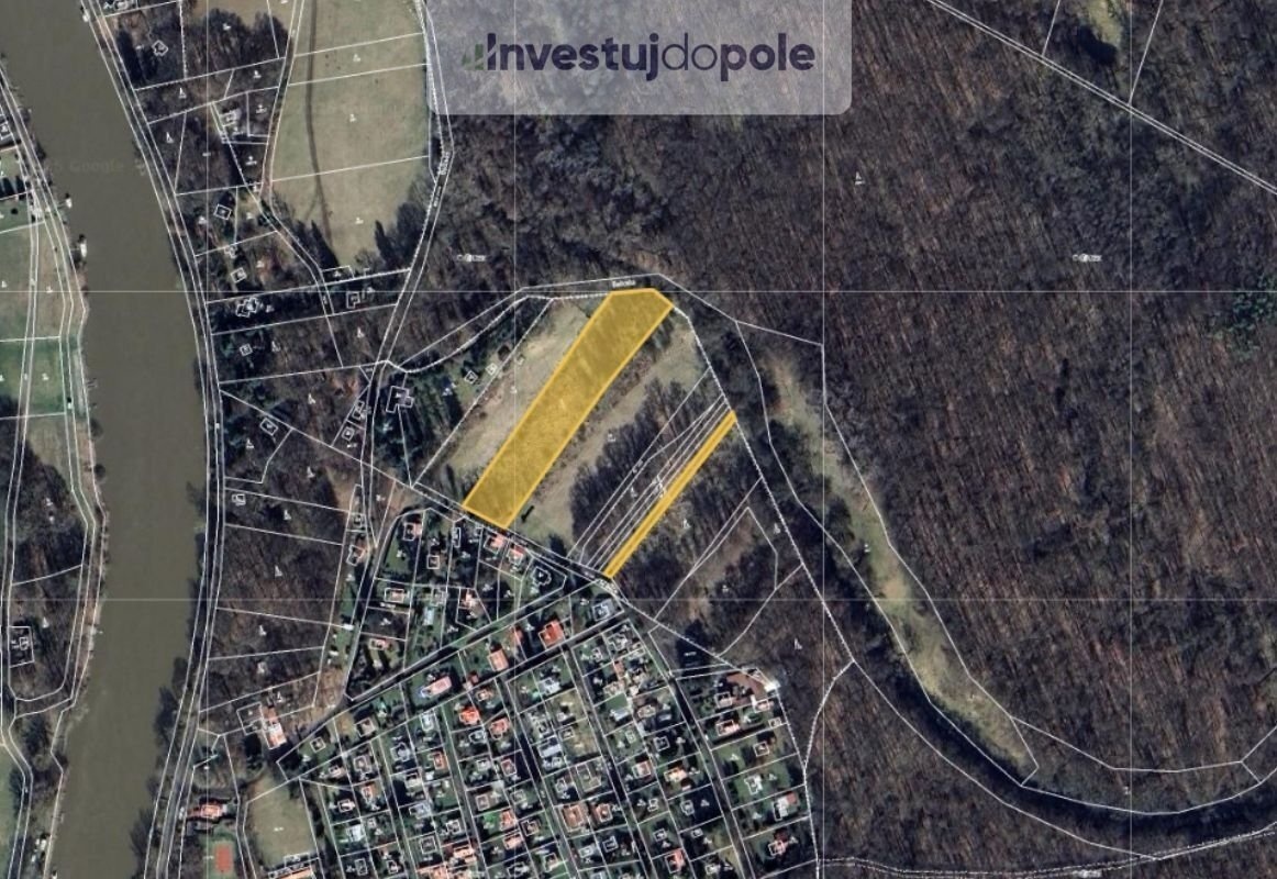 Prodej lesa v k.ú. Oseček, ev.č. 2025-08-07-1 - 5