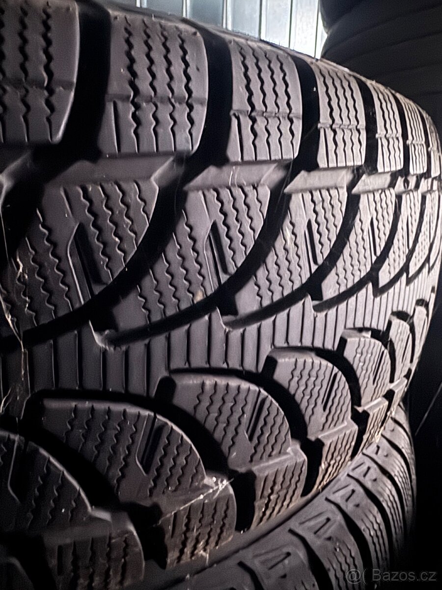 Amarok zimni sada - 5