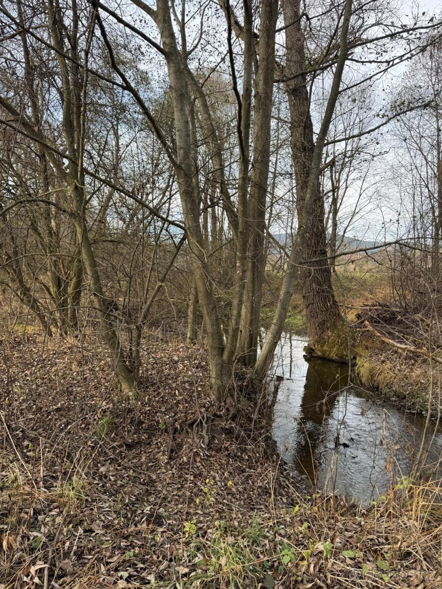 Prodej pozemku v k.ú. Chvalšiny - 5