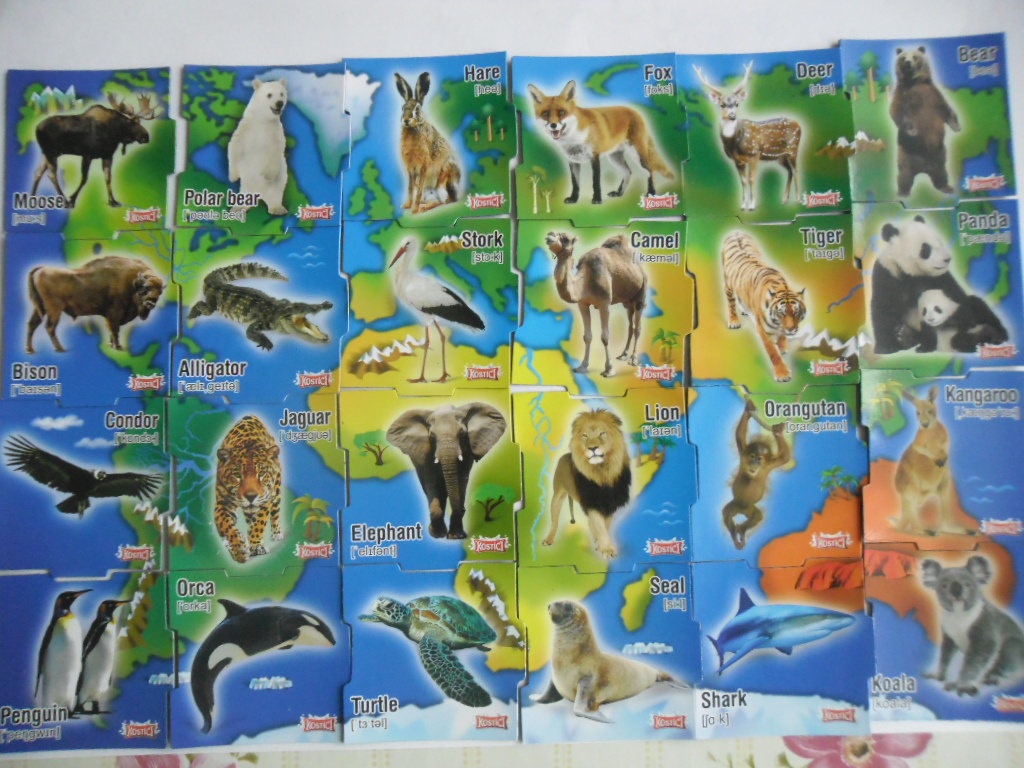 Magnetky různé sady - 5