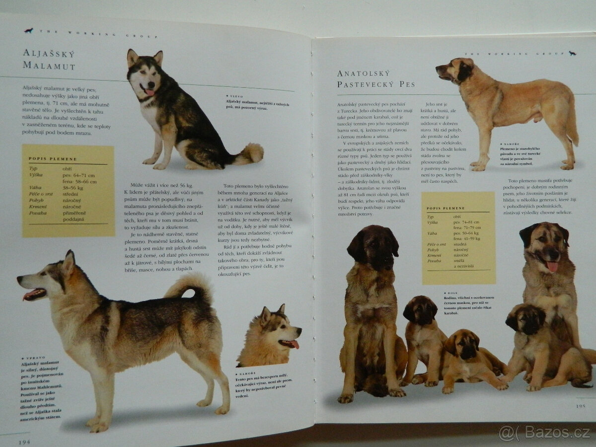 Pes a péče o něj - 5