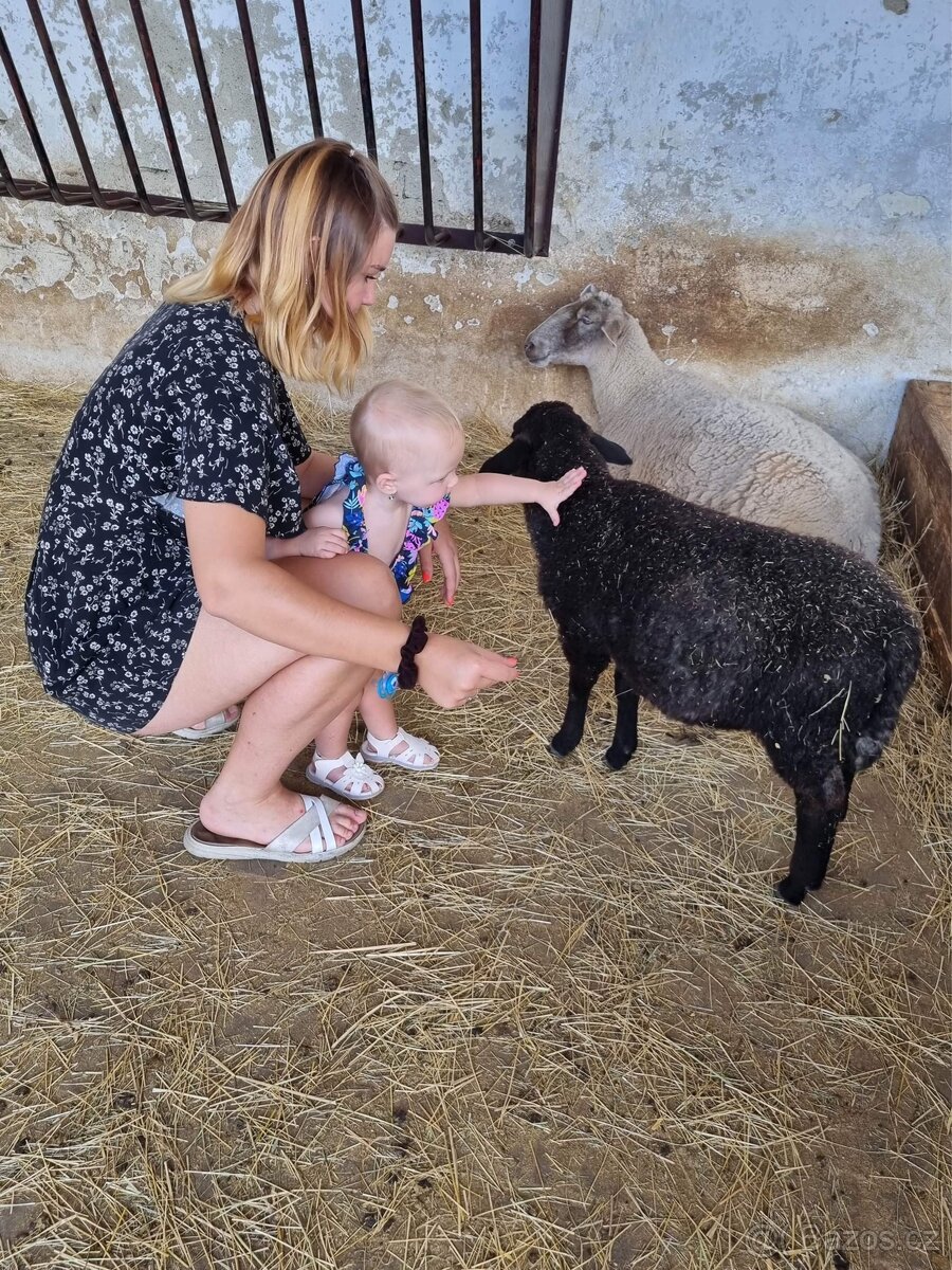 Chůva pro vaše děti - 5