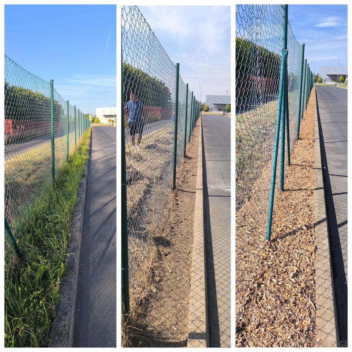 Drevni stepka - mulcovaci kura - 5