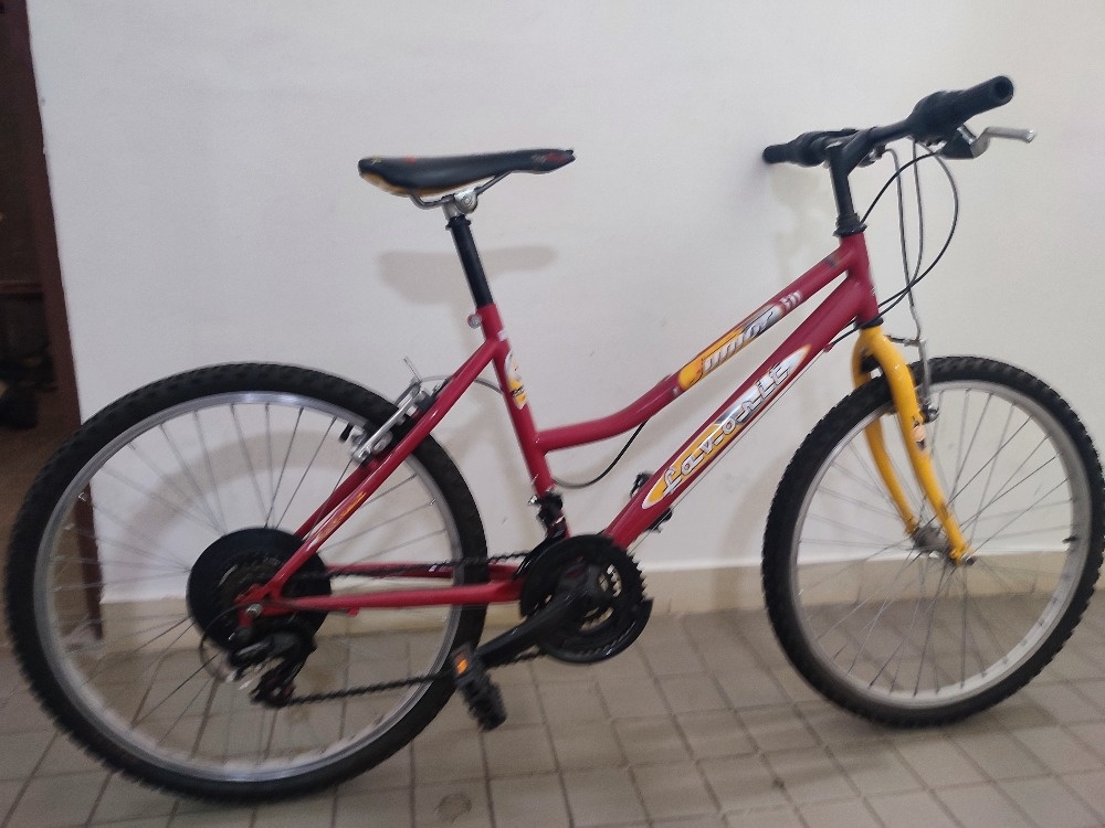 Dětské horské kolo Favorit Junior 24 - 5