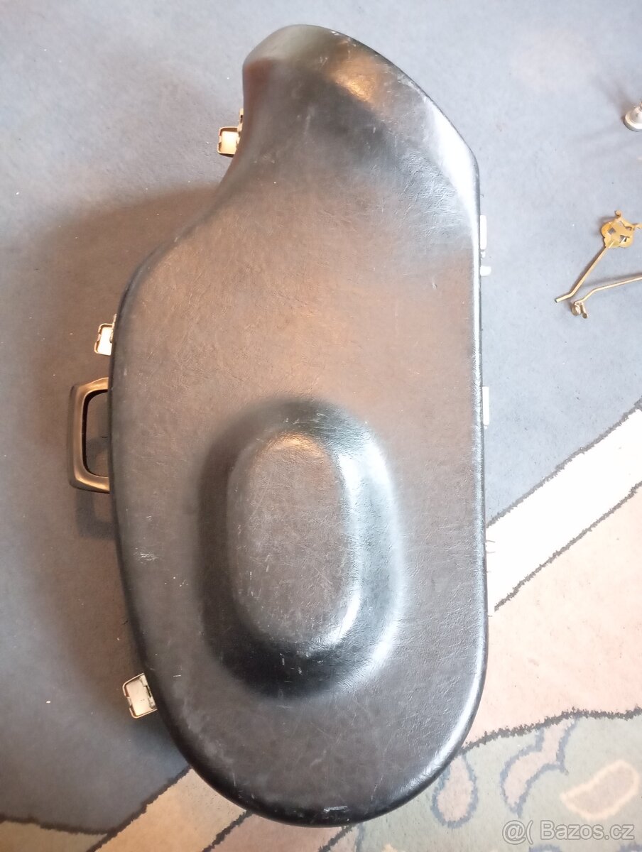 Tenor baskřídlovka - 5