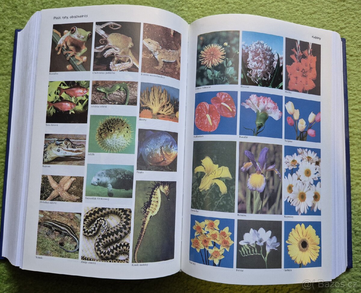 Malá ilustrovaná encyklopedie A-Ž - 5