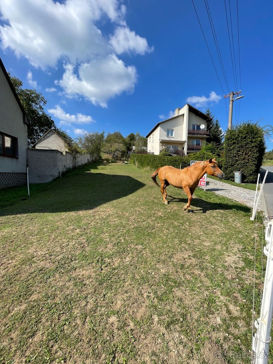 PRODEJ PZ PAŠOVICE - 5