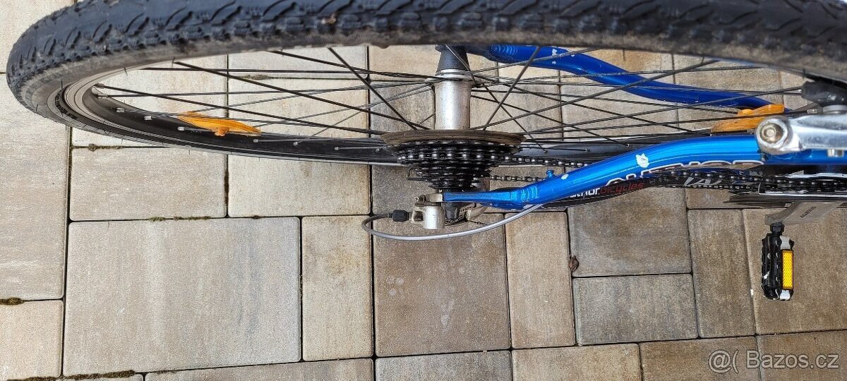 Kolo Author Reflex - 5