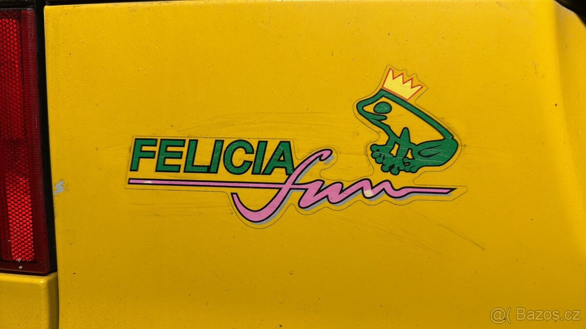 Felicia fun - 5
