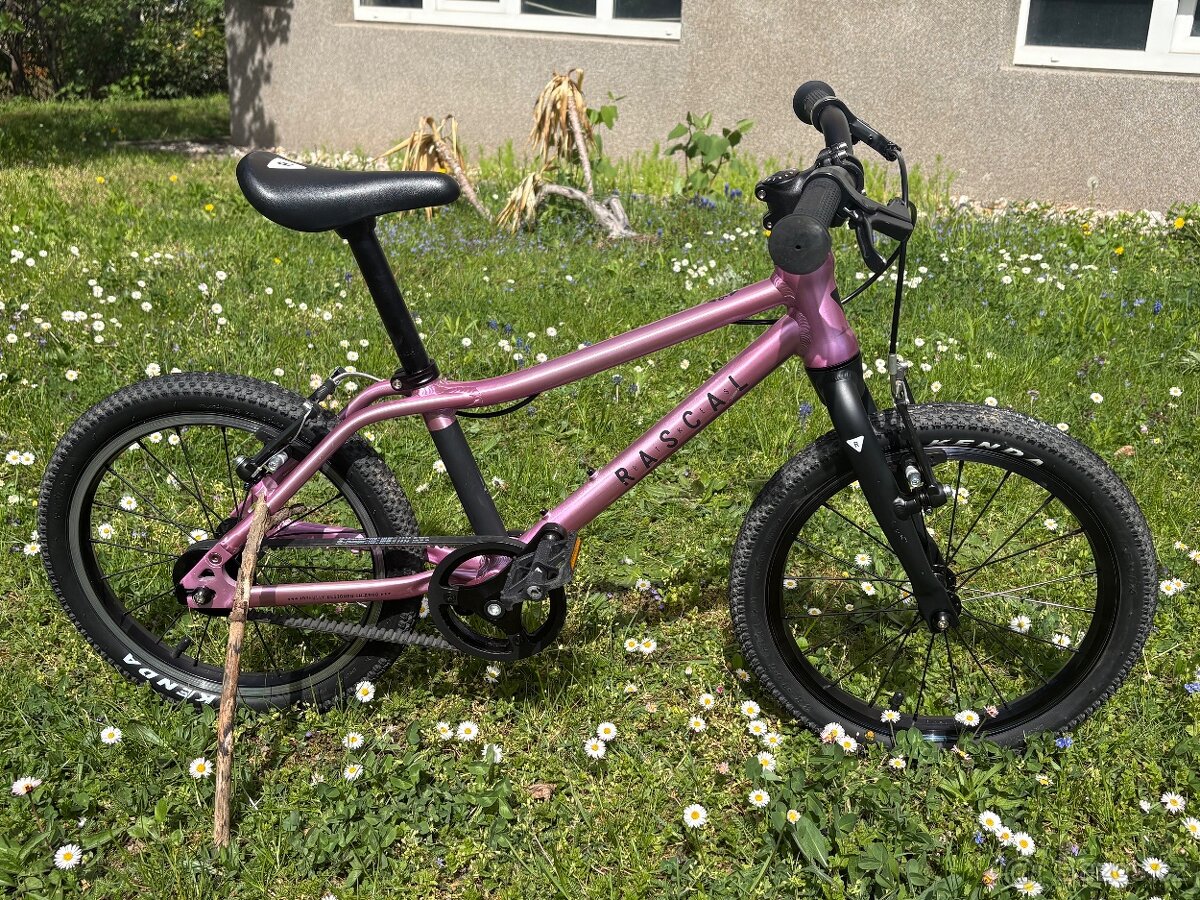 Rascal 16” růžové - 5